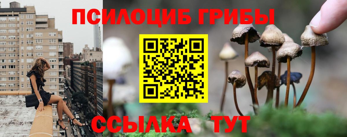 Псилоцибиновые грибы прущие грибы Соль-Илецк