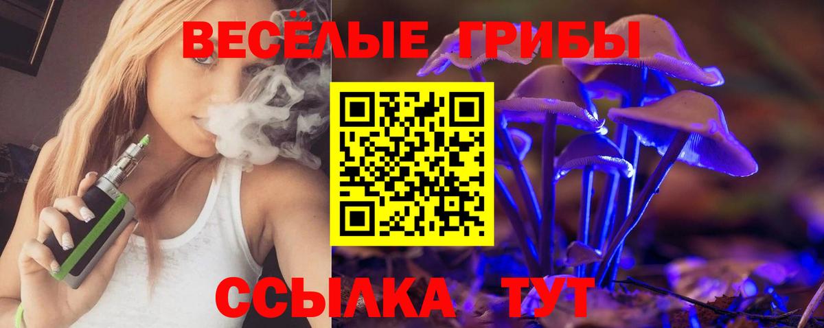 Псилоцибиновые грибы Magic Shrooms  Вход с VPN  Соль-Илецк  наркошоп  Галлюциногенные грибы прущие грибы 